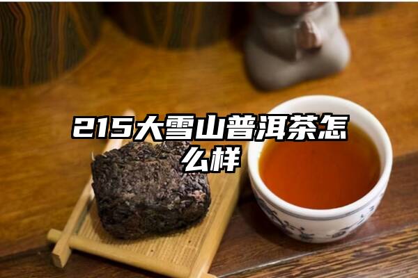 215大雪山普洱茶怎么样