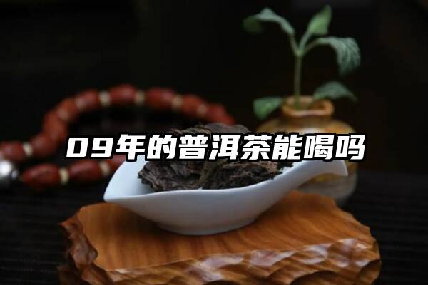 09年的普洱茶能喝吗