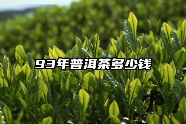 93年普洱茶多少钱