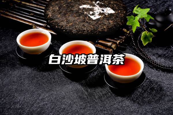 白沙坡普洱茶