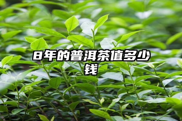 8年的普洱茶值多少钱