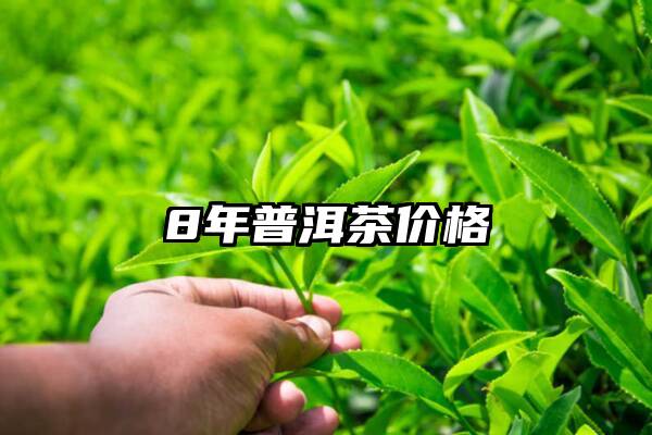 8年普洱茶价格