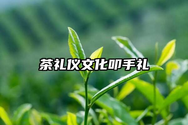 茶礼仪文化叩手礼