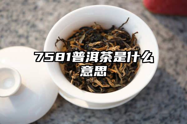 7581普洱茶是什么意思