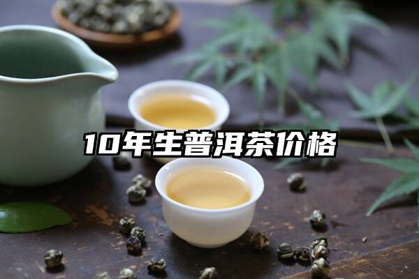 10年生普洱茶价格