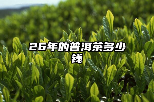 26年的普洱茶多少钱