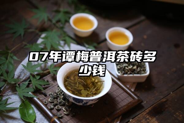 07年谭梅普洱茶砖多少钱