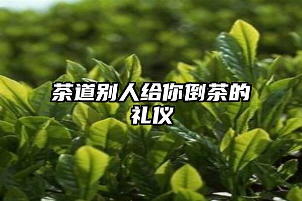 茶道别人给你倒茶的礼仪