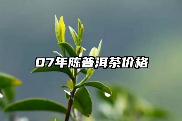 07年陈普洱茶价格