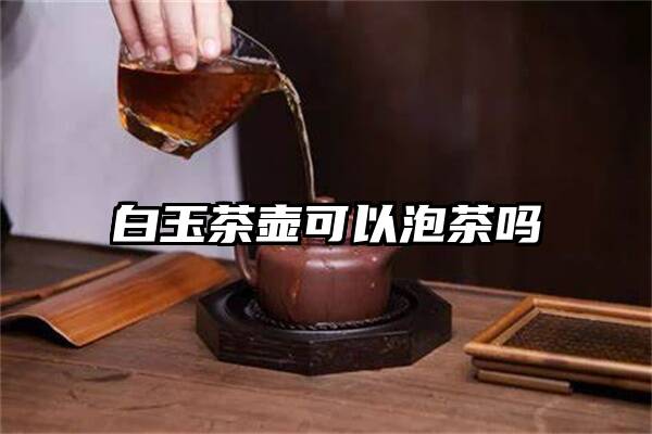 白玉茶壶可以泡茶吗