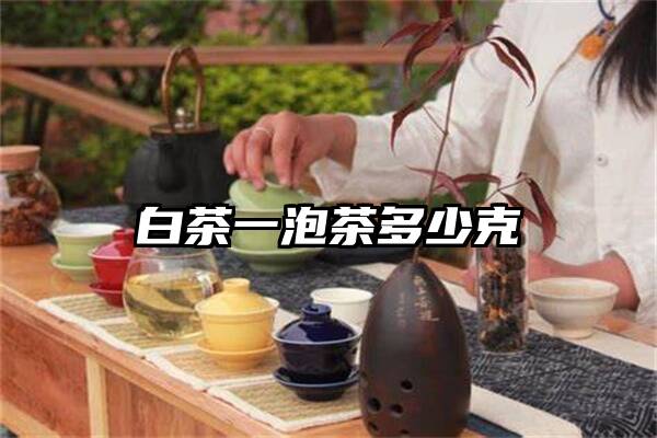 白茶一泡茶多少克