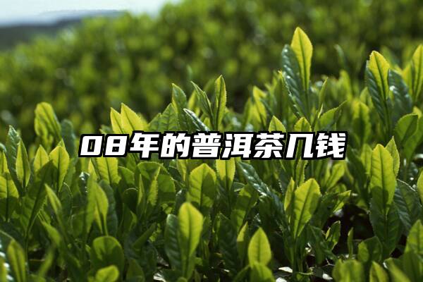 08年的普洱茶几钱