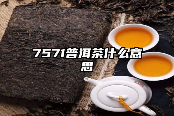 7571普洱茶什么意思