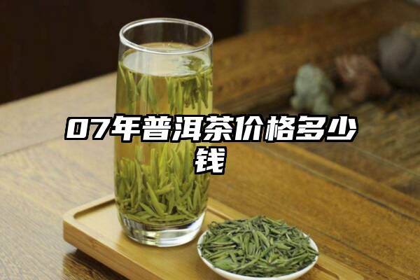 07年普洱茶价格多少钱