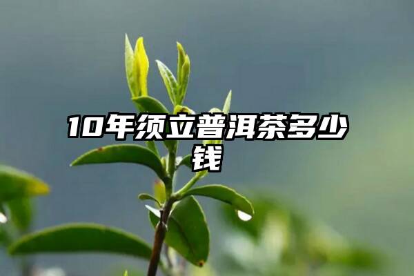 10年须立普洱茶多少钱