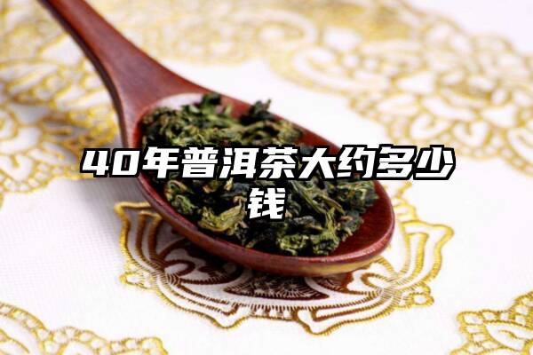 40年普洱茶大约多少钱