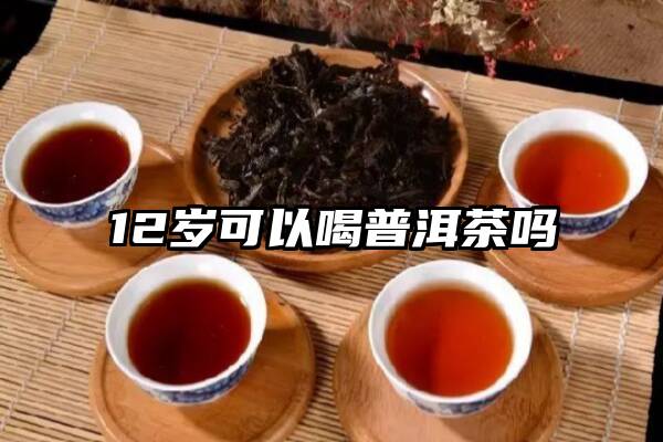 12岁可以喝普洱茶吗