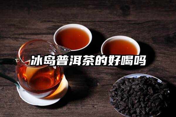 冰岛普洱茶的好喝吗