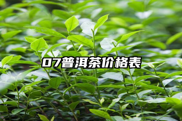 07普洱茶价格表