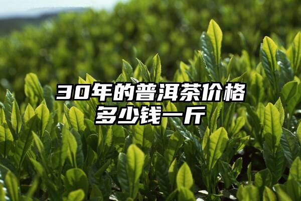 30年的普洱茶价格多少钱一斤