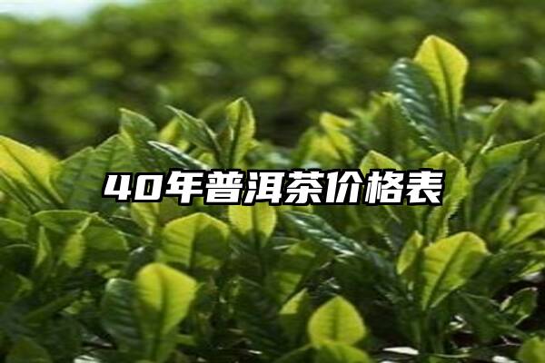 40年普洱茶价格表