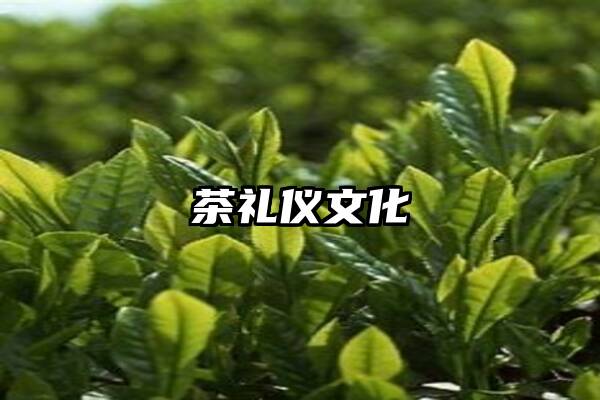 茶礼仪文化