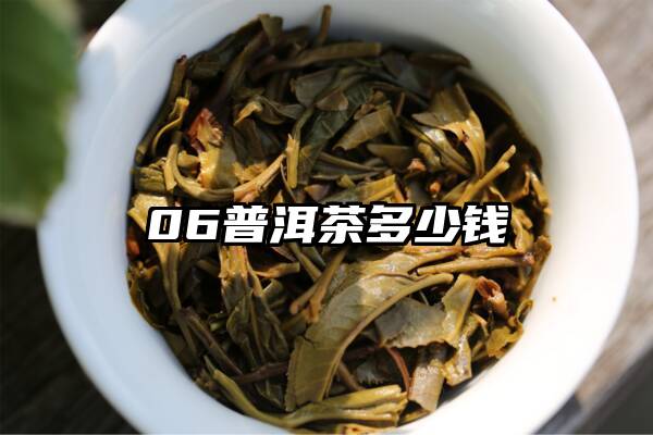 06普洱茶多少钱