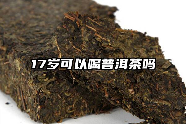 17岁可以喝普洱茶吗