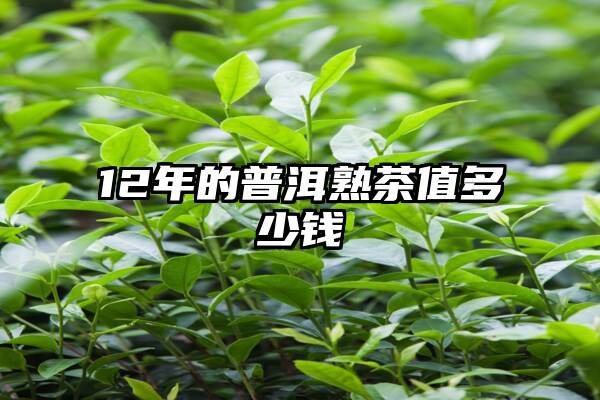 12年的普洱熟茶值多少钱