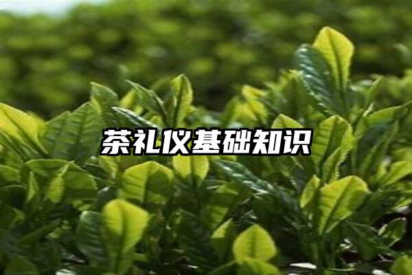 茶礼仪基础知识