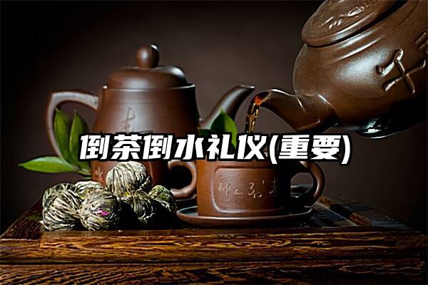 倒茶倒水礼仪(重要)