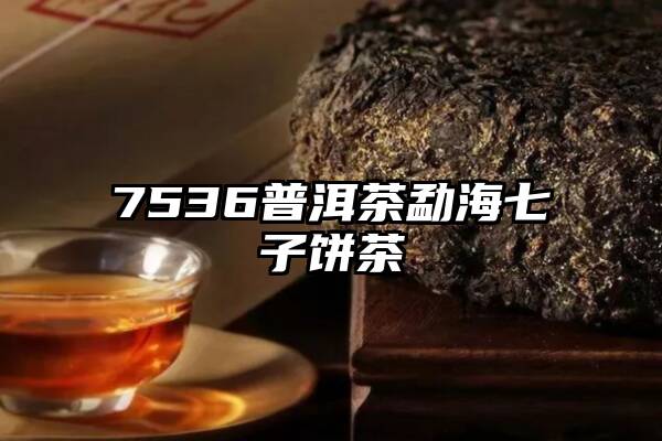 7536普洱茶勐海七子饼茶