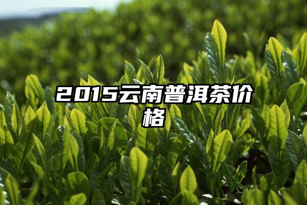 2015云南普洱茶价格