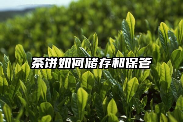 茶饼如何储存和保管