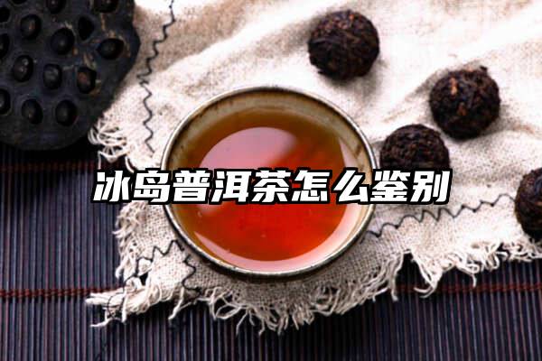 冰岛普洱茶怎么鉴别