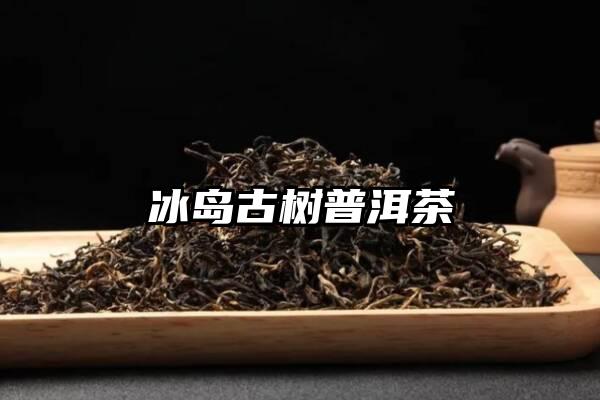 冰岛古树普洱茶