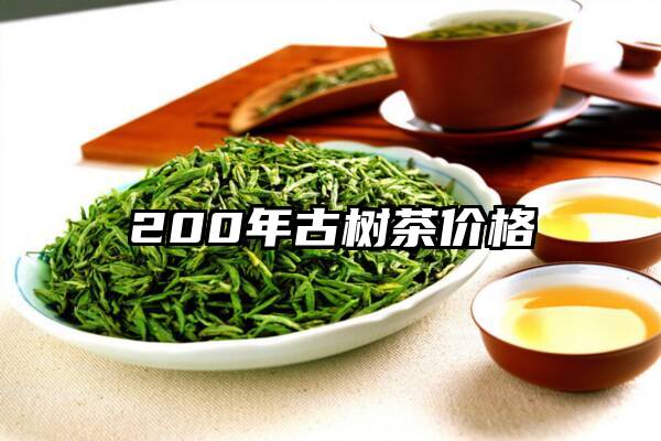 200年古树茶价格