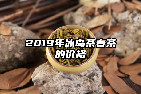 2019年冰岛茶春茶的价格