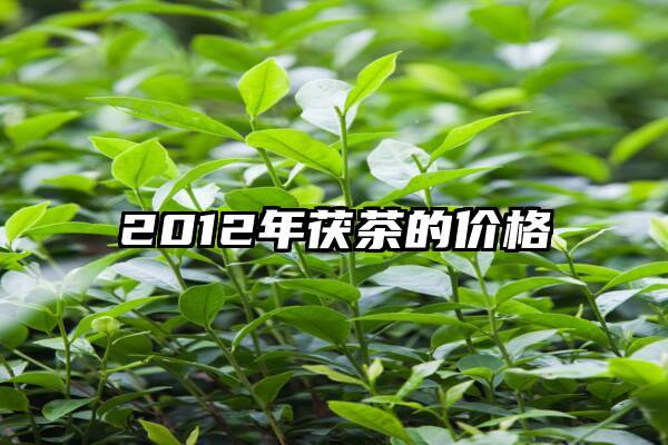 2012年茯茶的价格