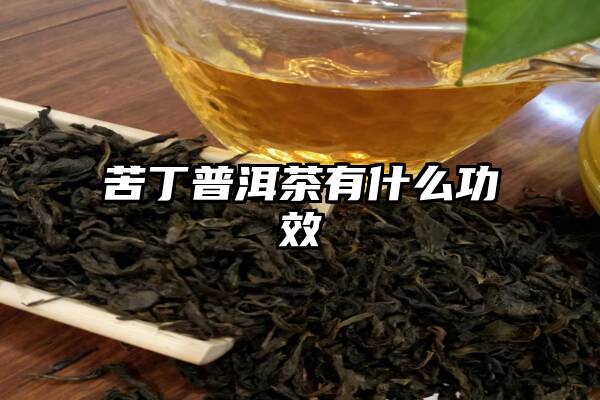 苦丁普洱茶有什么功效