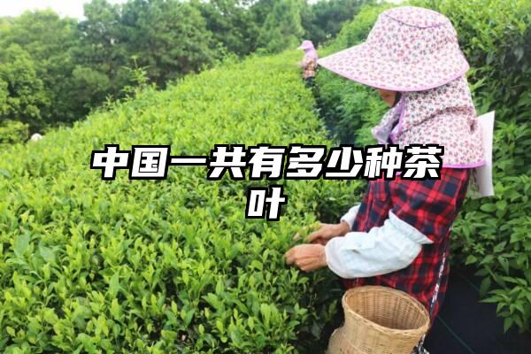 中国一共有多少种茶叶