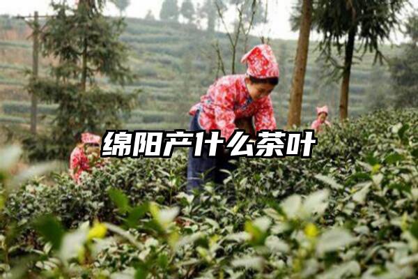 绵阳产什么茶叶