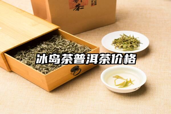 冰岛茶普洱茶价格