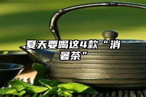 夏天要喝这4款“消暑茶”