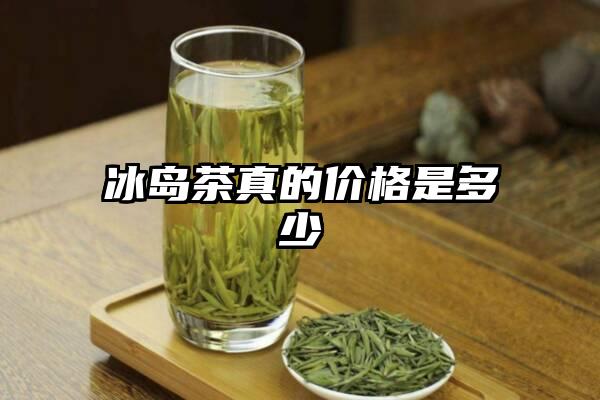 冰岛茶真的价格是多少