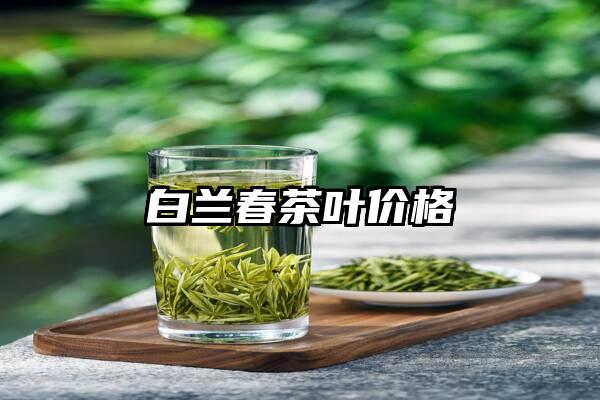 白兰春茶叶价格