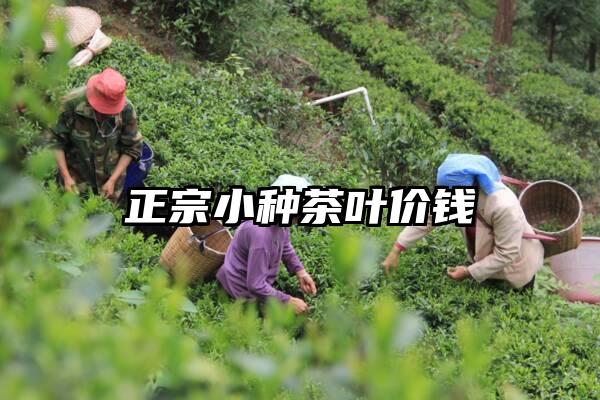 正宗小种茶叶价钱