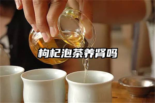 枸杞泡茶养肾吗