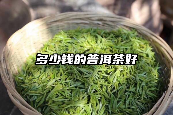 多少钱的普洱茶好