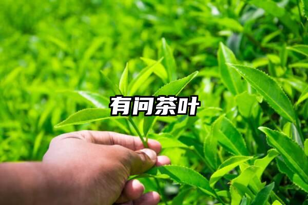 有问茶叶